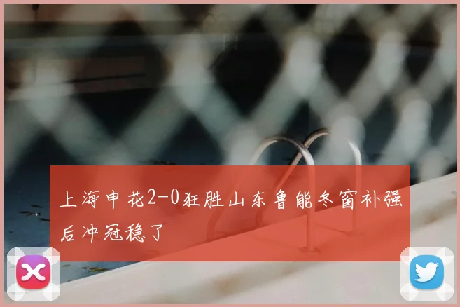 上海申花2-0狂胜山东鲁能冬窗补强后冲冠稳了