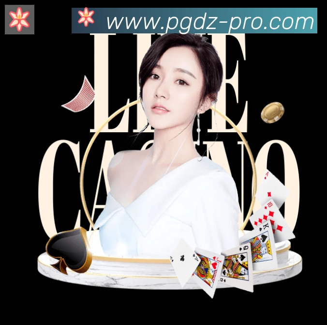 未来规划